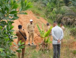Bupati Pelalawan Tinjau Jalan Pintas Desa Kemang – Desa Meranti, Minta Dukungan Perusahaan untuk Percepatan