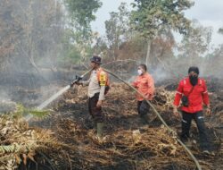 Tim Gabungan Berhasil Padamkan Kebakaran Lahan Masyarakat di Desa Sungai Ara