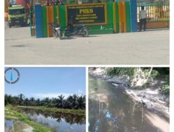 Limbah PT SISL Diduga Cemari Sungai Kiyap Jaya, Warga Pelalawan Tuntut Pencabutan Izin Operasi