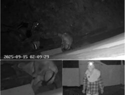 Warga Teluk Meranti Resah, Pencuri Walet Berkeliaran Hingga Terekam Kamera