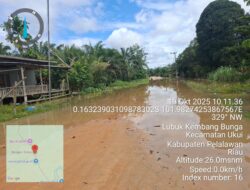 Diguyur Hujan Satu Malam Desa Lubuk Kembang Bungo Terendam