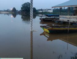 BPBD Pelalawan: Level Air Sungai Kampar di Ferry Langgam Turun, Aktivitas Penyeberangan Masih Aman