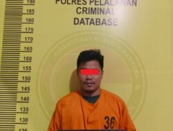 Satresnarkoba Polres Pelalawan Tangkap Pengedar Sabu di Kebun Sawit