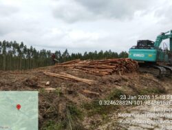 Diduga Abaikan Putusan MA, Aktivitas Penebangan PT Arara Abadi Masih Berlangsung di Lahan Adat Batin Sengeri