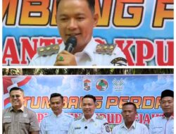 Wabup Husni Tamrin Hadiri Syukuran Replanting Perdana KPUD Sejahtera SP 6 Desa Makmur