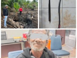 Pelaku Karhutla di Teluk Meranti Ditangkap, Polres Pelalawan Tegaskan Tidak Ada Toleransi