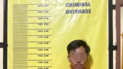 Aksi Pencurian TBS di Kebun PT SLS Terbongkar, Satu Pelaku Ditangkap, 600 Kg Sawit Disita