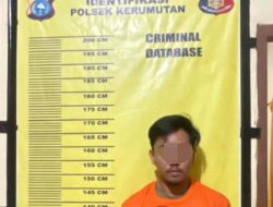 Aksi Pencurian TBS di Kebun PT SLS Terbongkar, Satu Pelaku Ditangkap, 600 Kg Sawit Disita