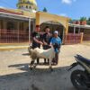 PT. Wahana Inti Sawit Salurkan Hewan Qurban ke Tiga Masjid di Kecamatan Langgam