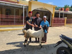 PT. Wahana Inti Sawit Salurkan Hewan Qurban ke Tiga Masjid di Kecamatan Langgam