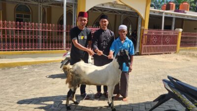 PT. Wahana Inti Sawit Salurkan Hewan Qurban ke Tiga Masjid di Kecamatan Langgam