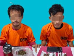 Satresnarkoba Polres Pelalawan Ciduk 2 Orang Bawa Ganja